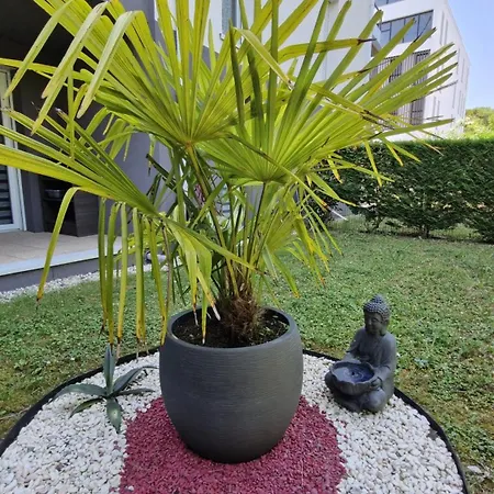 - En Rez-de-chaussee Amenage Avec Elegance - Jardin Privatif *
